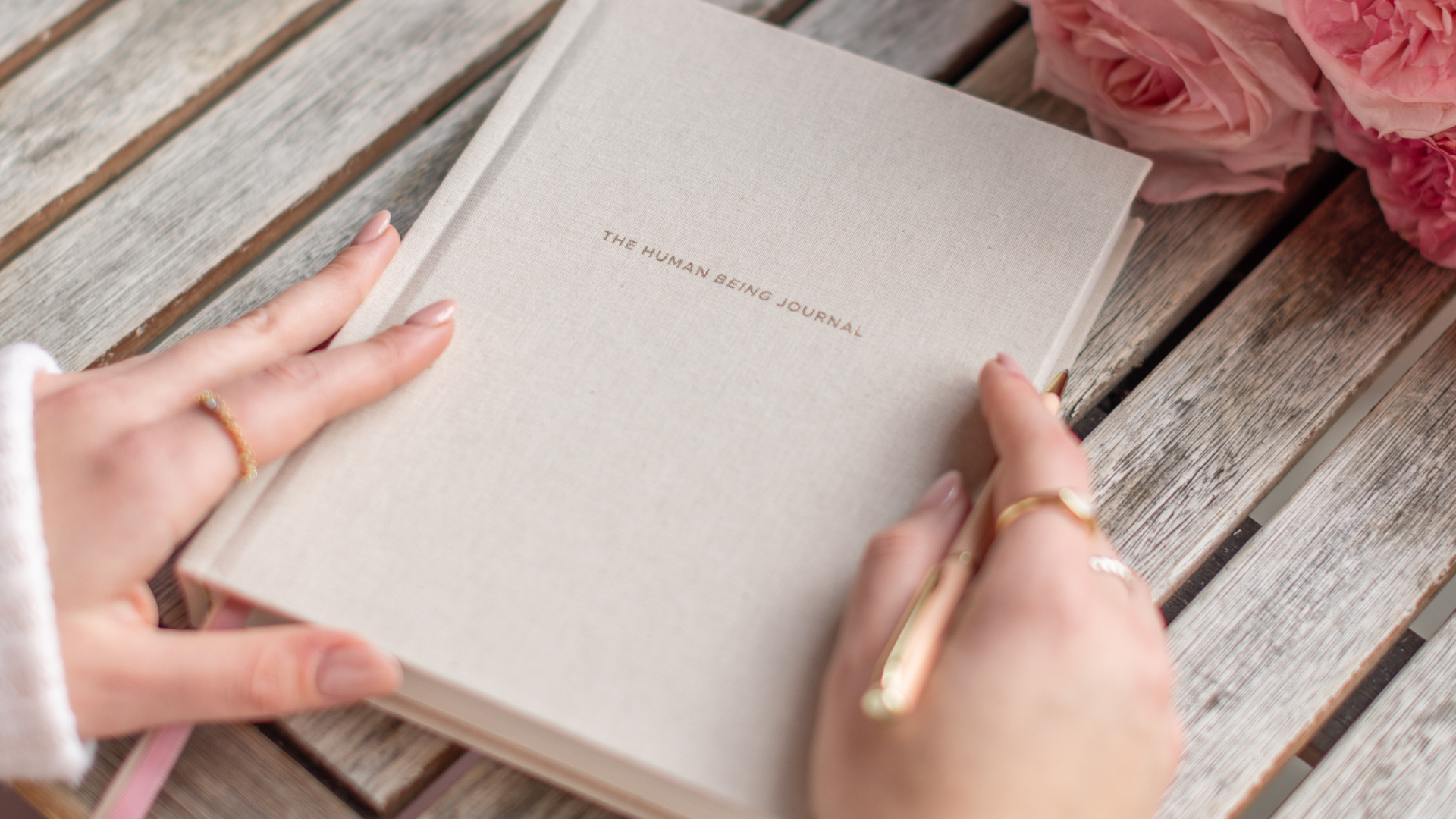 The Human Being Journal x Jilly Box